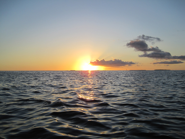 Ocean and sunset