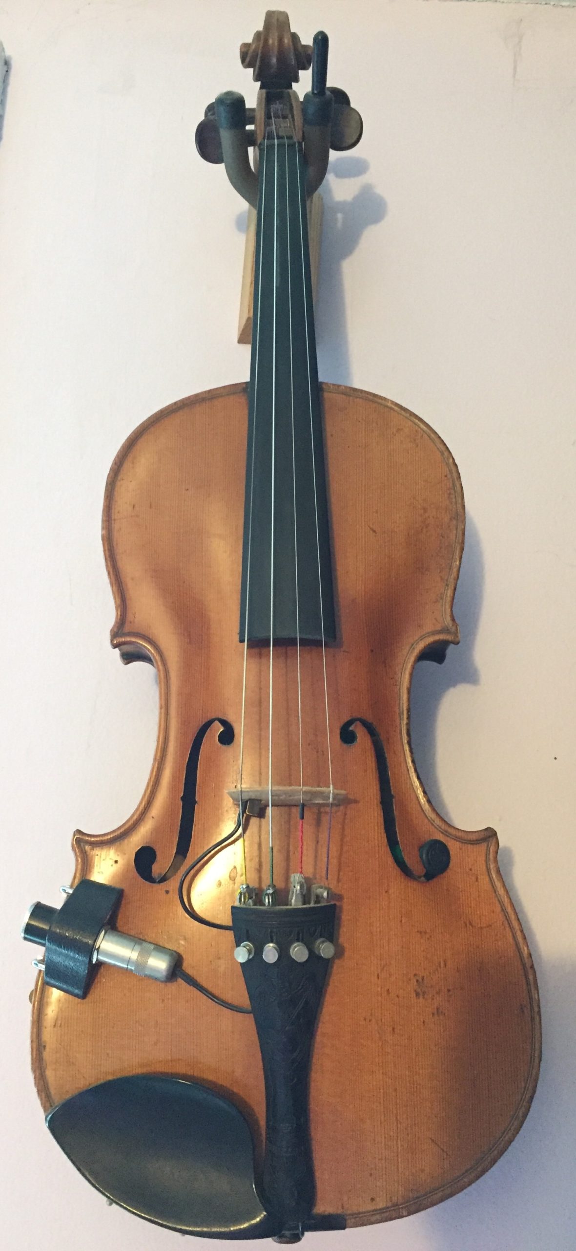 violin body shape