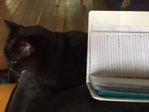 morning routine cat journal