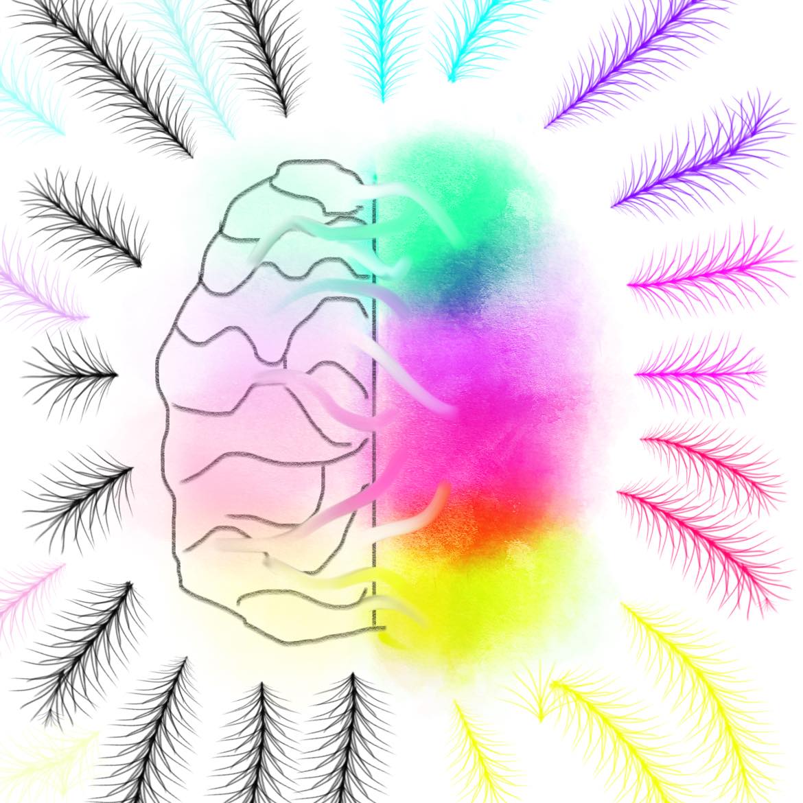 brain from the top with colors and black and white