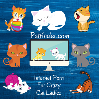 petfinder.com internet porn for crazy cat ladies sticker