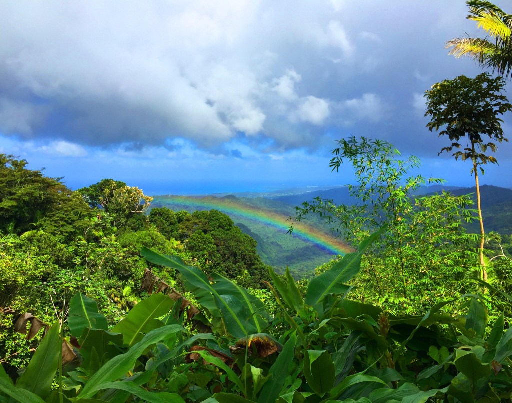el yunque rainforest with rainbow

